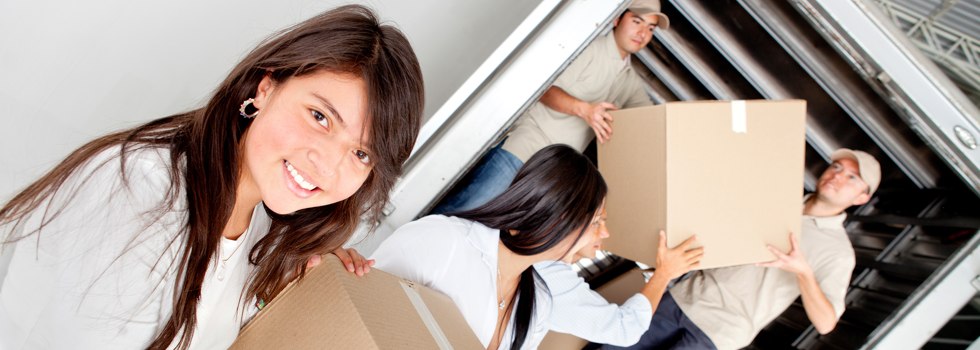 Professional Removalists Cargo